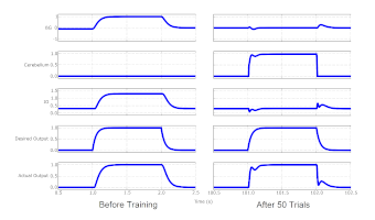 Offloading a simple associative learning task from basal ganglia to cerebellum
