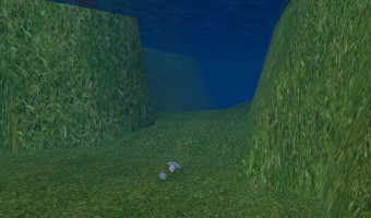 School of fish underwater