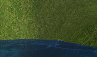 School of fish along the shore