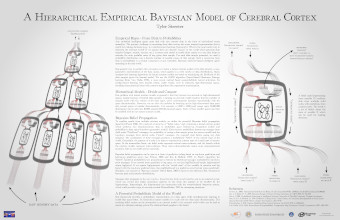 Sensory/motor cortex model