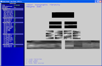 Older version of the Probe with vision modality