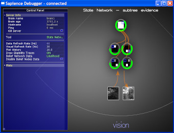 Probe with vision modality