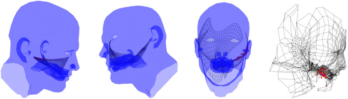 Head map development sequence