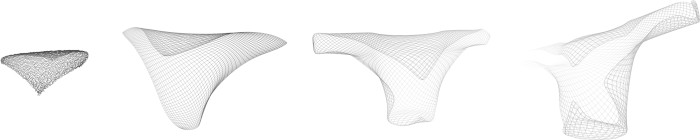 Torso map development sequence image 1