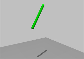 The pendulum swing-up task